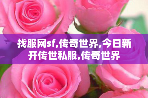 找服网sf,传奇世界,今日新开传世私服,传奇世界