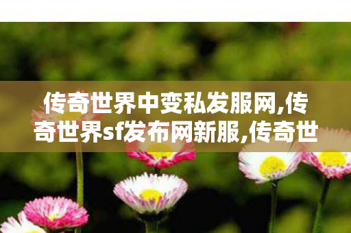 传奇世界中变私发服网,传奇世界sf发布网新服,传奇世界新开网站轻变,传奇世界sf发布网新服