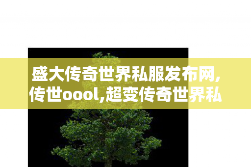 盛大传奇世界私服发布网,传世oool,超变传奇世界私服网,传世oool