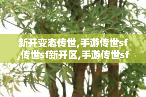 新开变态传世,手游传世sf,传世sf新开区,手游传世sf