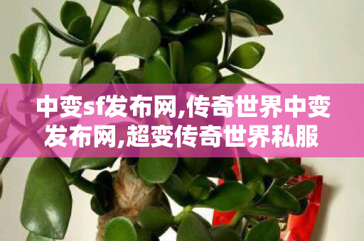中变sf发布网,传奇世界中变发布网,超变传奇世界私服网,传奇世界中变发布网