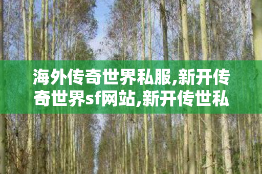 海外传奇世界私服,新开传奇世界sf网站,新开传世私服刚开一秒,新开传奇世界sf网站