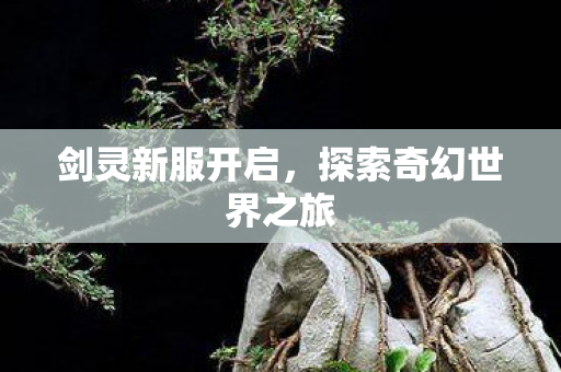 剑灵新服开启，探索奇幻世界之旅