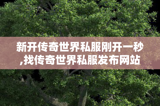 新开传奇世界私服刚开一秒,找传奇世界私服发布网站,网通传奇网,找传奇世界私服发布网站