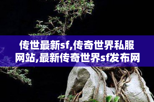 传世最新sf,传奇世界私服网站,最新传奇世界sf发布网,传奇世界私服网站