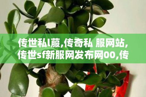传世私l菔,传奇私 服网站,传世sf新服网发布网00,传奇私 服网站