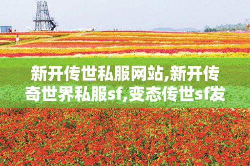 新开传世私服网站,新开传奇世界私服sf,变态传世sf发布网,新开传奇世界私服sf