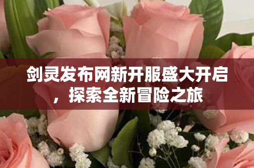剑灵发布网新开服盛大开启，探索全新冒险之旅