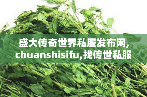 盛大传奇世界私服发布网,chuanshisifu,找传世私服 最新开,chuanshisifu