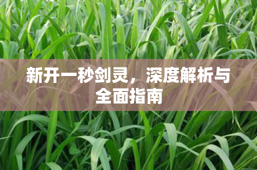 新开一秒剑灵，深度解析与全面指南