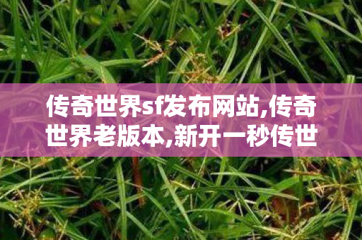 传奇世界sf发布网站,传奇世界老版本,新开一秒传世私服,传奇世界老版本