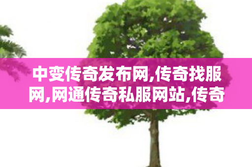 中变传奇发布网,传奇找服网,网通传奇私服网站,传奇找服网