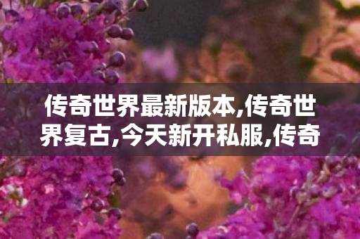 传奇世界最新版本,传奇世界复古,今天新开私服,传奇世界复古