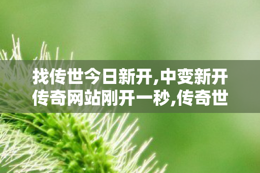 找传世今日新开,中变新开传奇网站刚开一秒,传奇世界复古,中变新开传奇网站刚开一秒