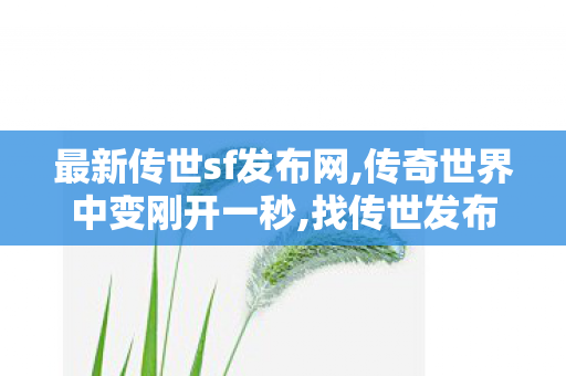 最新传世sf发布网,传奇世界中变刚开一秒,找传世发布网,传奇世界中变刚开一秒