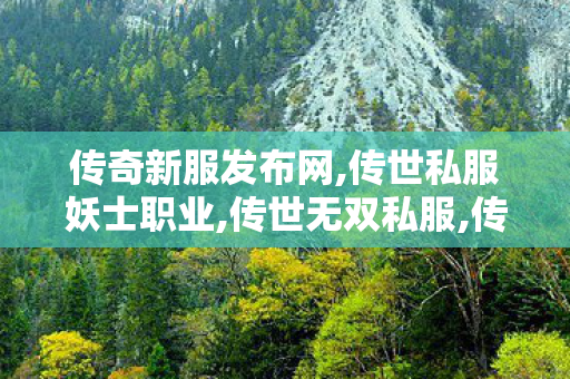 传奇新服发布网,传世私服妖士职业,传世无双私服,传世私服妖士职业