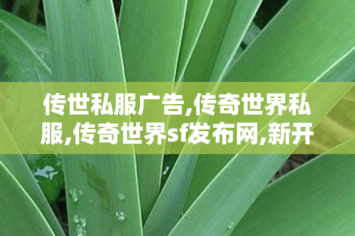 传世私服广告,传奇世界私服,传奇世界sf发布网,新开传奇世界sf传世sf网站,传奇世界私服,传奇世界sf发布网