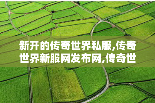 新开的传奇世界私服,传奇世界新服网发布网,传奇世界复古有元神,传奇世界新服网发布网