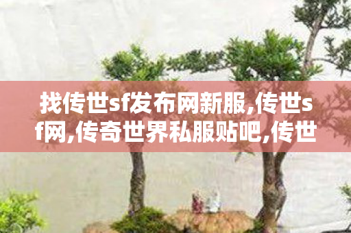 找传世sf发布网新服,传世sf网,传奇世界私服贴吧,传世sf网
