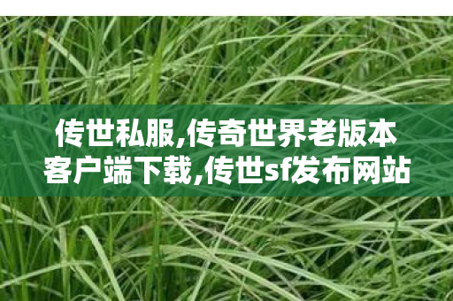 传世私服,传奇世界老版本客户端下载,传世sf发布网站,传奇世界老版本客户端下载