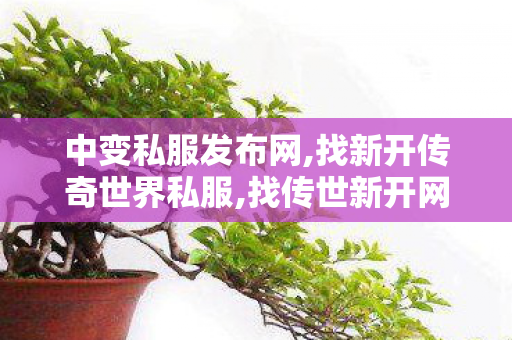 中变私服发布网,找新开传奇世界私服,找传世新开网站,找新开传奇世界私服