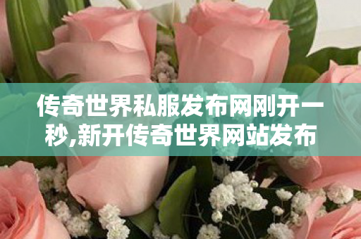 传奇世界私服发布网刚开一秒,新开传奇世界网站发布网,传世sf发布网,新开传奇世界网站发布网
