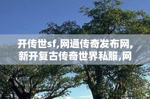 开传世sf,网通传奇发布网,新开复古传奇世界私服,网通传奇发布网