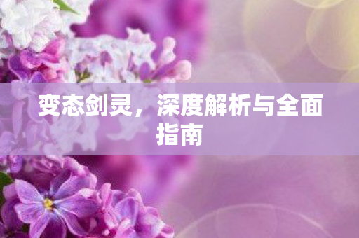 变态剑灵，深度解析与全面指南