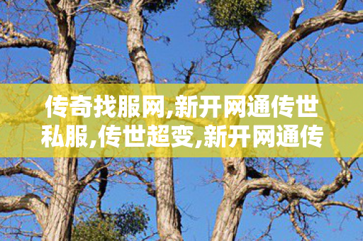 传奇找服网,新开网通传世私服,传世超变,新开网通传世私服