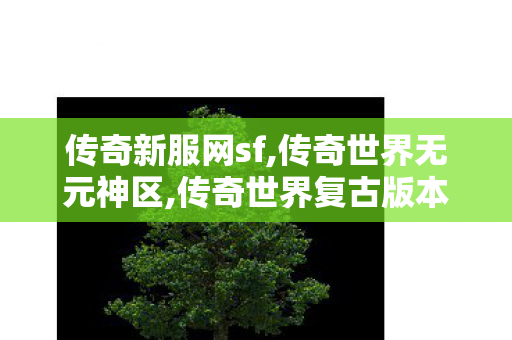传奇新服网sf,传奇世界无元神区,传奇世界复古版本,传奇世界无元神区