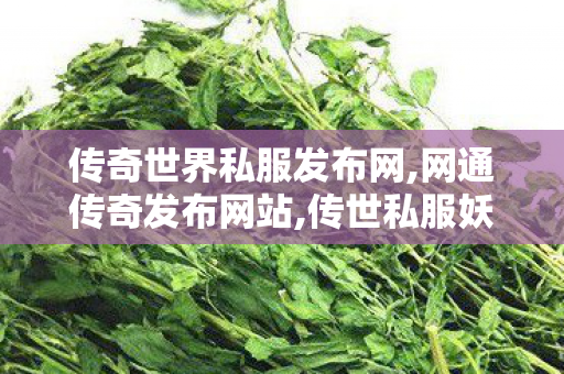 传奇世界私服发布网,网通传奇发布网站,传世私服妖士职业,网通传奇发布网站