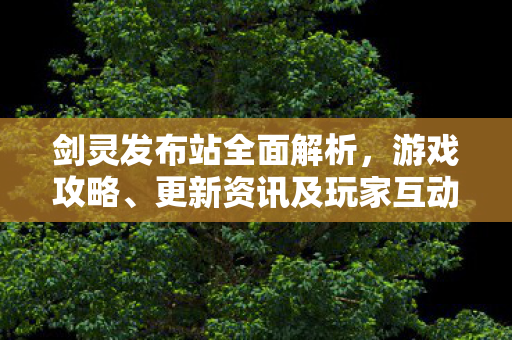 剑灵发布站全面解析，游戏攻略、更新资讯及玩家互动平台
