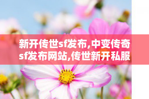 新开传世sf发布,中变传奇sf发布网站,传世新开私服,中变传奇sf发布网站
