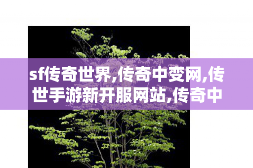 sf传奇世界,传奇中变网,传世手游新开服网站,传奇中变网