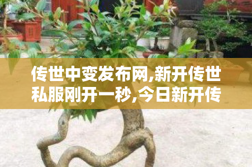 传世中变发布网,新开传世私服刚开一秒,今日新开传奇世界网站,新开传世私服刚开一秒