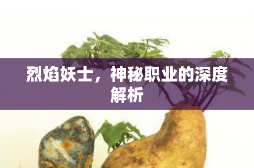 烈焰妖士，神秘职业的深度解析