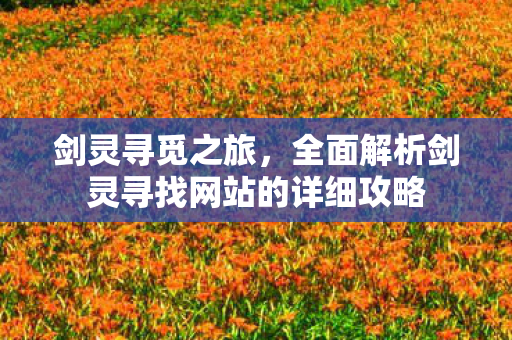 剑灵寻觅之旅，全面解析剑灵寻找网站的详细攻略