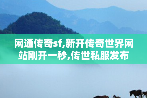 网通传奇sf,新开传奇世界网站刚开一秒,传世私服发布站,新开传奇世界网站刚开一秒