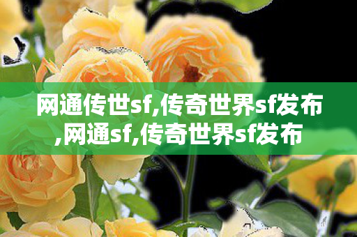 网通传世sf,传奇世界sf发布,网通sf,传奇世界sf发布