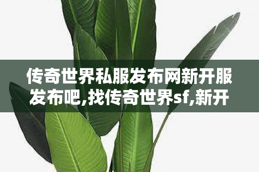 传奇世界私服发布网新开服发布吧,找传奇世界sf,新开超级变态传世sf,找传奇世界sf