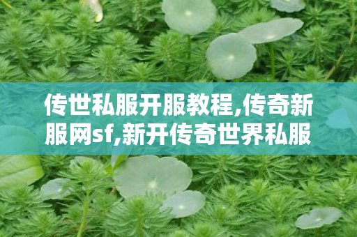传世私服开服教程,传奇新服网sf,新开传奇世界私服中变,传奇新服网sf