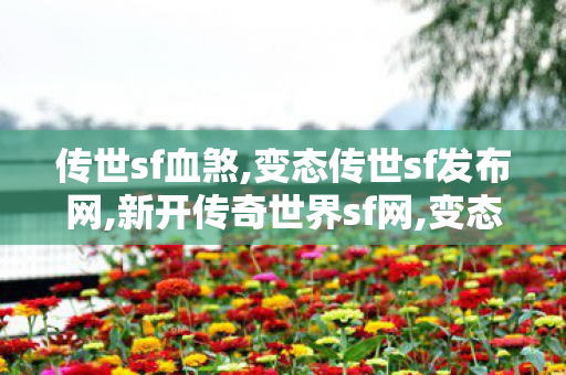 传世sf血煞,变态传世sf发布网,新开传奇世界sf网,变态传世sf发布网
