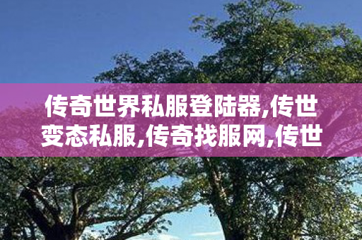 传奇世界私服登陆器,传世变态私服,传奇找服网,传世变态私服