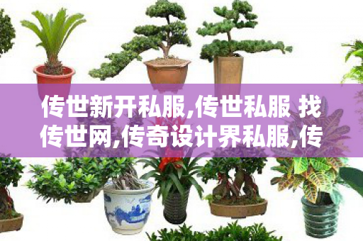 传世新开私服,传世私服 找传世网,传奇设计界私服,传世私服 找传世网
