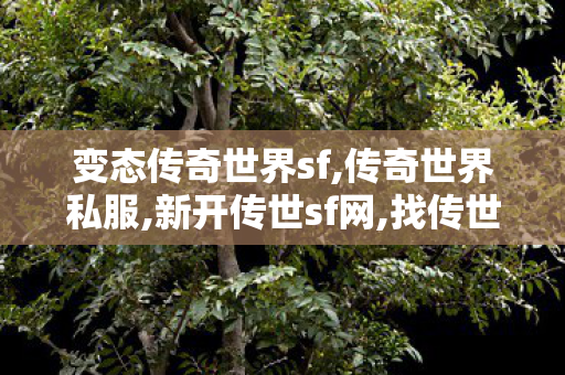 变态传奇世界sf,传奇世界私服,新开传世sf网,找传世sf,传奇世界私服,新开传世sf网