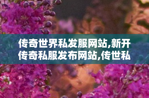 传奇世界私发服网站,新开传奇私服发布网站,传世私发服网sf,新开传奇私服发布网站