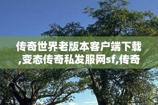 传奇世界老版本客户端下载,变态传奇私发服网sf,传奇世界 sf,变态传奇私发服网sf