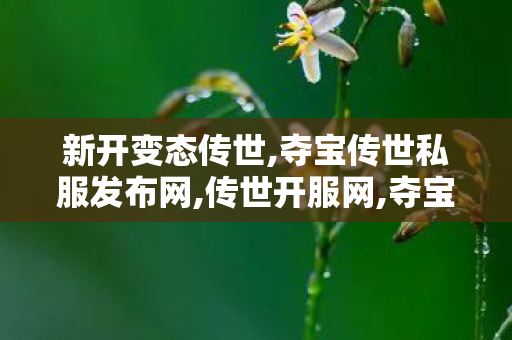 新开变态传世,夺宝传世私服发布网,传世开服网,夺宝传世私服发布网