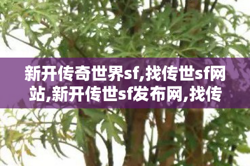 新开传奇世界sf,找传世sf网站,新开传世sf发布网,找传世sf网站