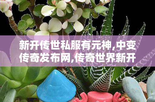 新开传世私服有元神,中变传奇发布网,传奇世界新开网站,中变传奇发布网